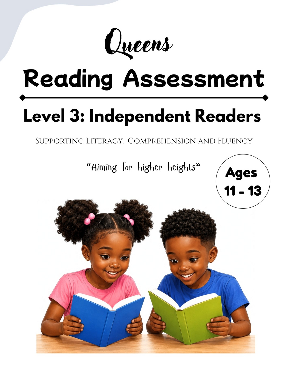 Level 3 - Reading Assessment